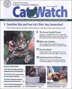 CatWatch